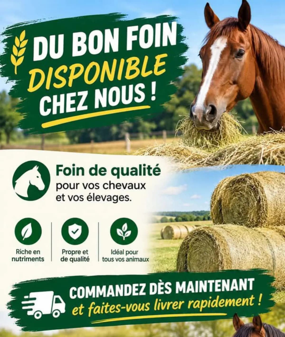Photo de l'annonce : Foin Botte ronde disponible — Mamoudzou · Kawéni (Animaux)