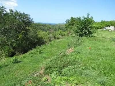 Photo de l'annonce : terrain constructible 1000M2 Hajangua — Dembeni · Hajangoua (Immobilier)